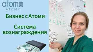 Маркетинг Атоми. Система вознаграждения. Сколько можно заработать с Атоми.