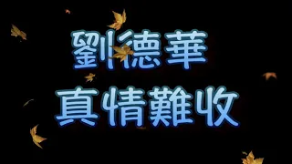 劉德華 真情難收（中文字幕）高音質（國語歌曲）氛圍版