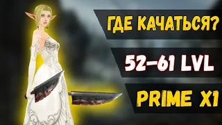 ГДЕ КАЧАТЬСЯ С 52 ПО 61 УРОВЕНЬ НА ASTERIOS PRIME X1?