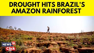 Brazil Drought 2023 | Amazon Region Hit By A Severe Drought In Brazil | English News | News18 | N18V