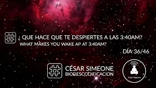 ¿Que hace que te despiertes a las 3:40 AM? | What makes you wake up at 3:40 AM?