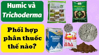 Humic và trichoderma phối với phân bón? | Các thắc mắc thường gặp về sử dụng Trichoderma