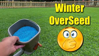 Winter Over Seeding Your Lawn - The problems