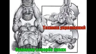 Пулловер с гантелью или изогнутым грифом, лёжа поперёк лавки. Техника #11