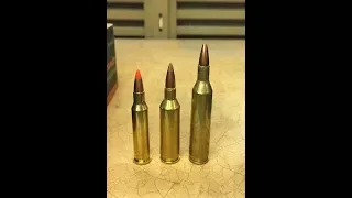 17 hornet vs 17 rem fireball vs 17 remington (including slow mo footage)
