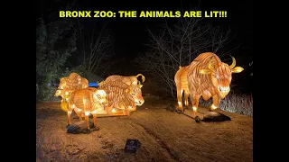 FULL TOUR: Bronx Zoo Holiday Lights 2020