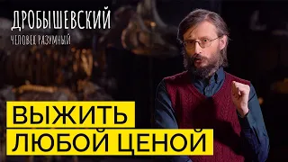 Как человек научился адаптироваться ко всему? // Дробышевский. Человек разумный