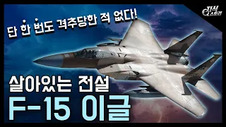 살아있는 전설 "F-15 이글" / 단 한 번도 격추당한 적 없는 전투기! [지식스토리]