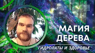 💫 Магия дерева.   Прямой эфир  с Тимофеем Дюковым