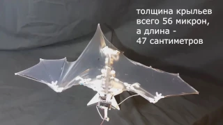Bat Bot - роботизированная летучая мышь