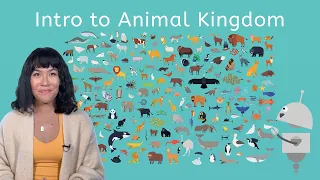 Intro to Animal Kingdom - Biology for Teens!