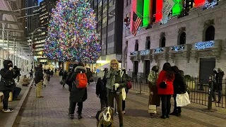 NYC LIVE Christmas Brooklyn Bridge & Wall Street Lower Manhattan w/ Hudson the Dog December 1, 2022