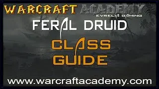 5.4 Feral Druid DPS Guide - Warcraft Academy