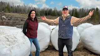 THIS Was a HISTORIC Day!!! Building Our OFF GRID Farm in the WOODS