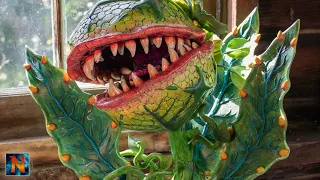 Crafting a Man-Eating Plant Audrey 2 from Little Shop of Horrors