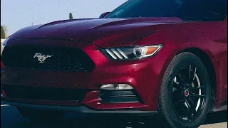 (POV) Cruising Around The City || 2015 v6 Mustang