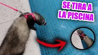 FUIMOS A JUGAR CON LA BEBÉ CON LYNA Y SE TIRÓ A LA PISCINA **NOS SORPRENDE**