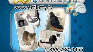 CitiKitty Cat Toilet Training Kit - COMMERCIAL