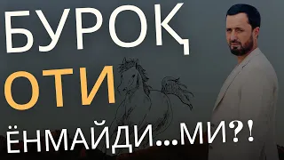 БАҲС: Буроқ оти бор....ми? - АБРОР МУХТОР АЛИЙ -