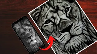 How to Draw a Lion