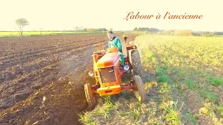 Labour à l'ancienne