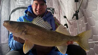 Early Ice Walleye | Red Lake Minnesota