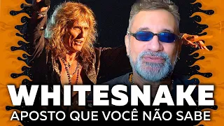 Whitesnake - Aposto Que Você Não Sabe