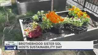 NY1 Spotlights BroSis Earth Day Celebrations