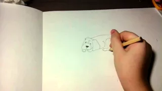 Как нарисовать собаку(бигля) 2 часть
