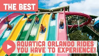 Aquatica Orlando Rides You HAVE to Experience!