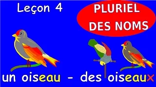 Урок французского языка 4. Множественное число существительных. #французский