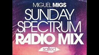 Miguel Migs ♫ Sunday Spectrum Radio Mix ♫ Salted Music ♫ Traxsource Live