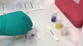 CCC Online Biology Lab Resources - Blood Typing Demo and Results