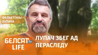 Дуб можа выступіць у якасці сведкі ў судзе? | Дуб может выступить в качестве свидетеля в суде?