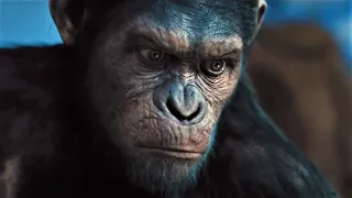 Caesar Says No - Rise of the Planet of the Apes (2011)