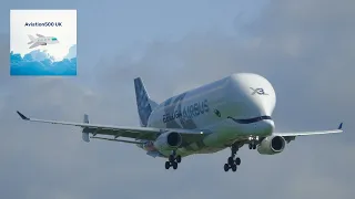 Airbus Beluga XL Landing & Takeoff Hawarden Airport 2023 - BelugaXL