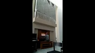 BWV 564,2 Adagio C Dur// Schöne  Pfeifenorgel in der NAK Freiburg