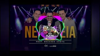 João Neto e Frederico part. Eduardo Costa - Nega Véia REMIX DJ FLAVIO PULGA