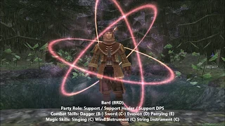 Final Fantasy XI: Bard Guide