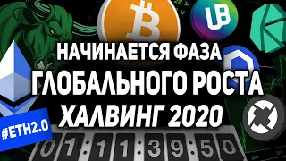 БИТКОИН ВХОДИТ В ГЛОБАЛЬНЫЙ РОСТ! И ВОТ ПОЧЕМУ! ХАЛВИНГ БИТКОИНА 2020