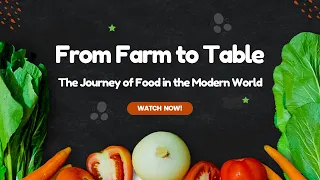 From Farm to Table: The Journey of Food in the Modern World