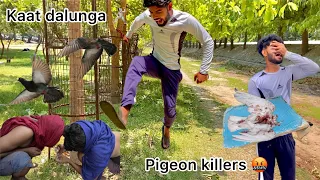 Park main mil gaye 🔪( kabutar chor dekh kar bhag gaye 🤬) pigeon no more 🥺