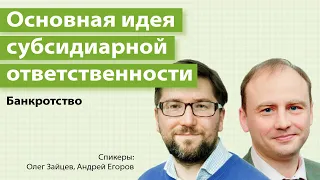 Основная идея и деликтный характер субсидиарной ответственности при банкротстве