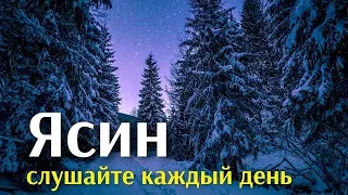 СУРА ЯСИН СЛУШАЙТЕ КАЖДЫЙ ДЕНЬ, НАЧИНАЙТЕ ДЕНЬ С ЭТОЙ СУРОЙ КОРАНА ИНША АЛЛАХ