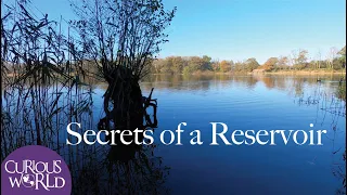 Secrets of a Reservoir