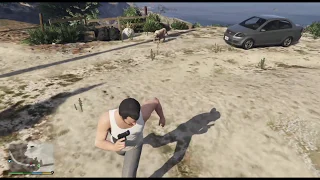 GTA V - Attacked By Cougar