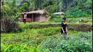 Taking Care of the Orphan Boy's Farm, Clearing the Grass to Prepare for the New Crop #boy #farm