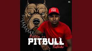 Solta os Pitbull Todinho