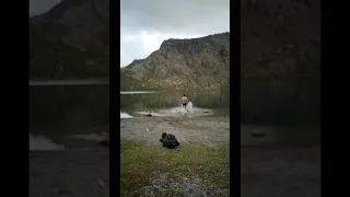 Swimming in the lake under Snowdon Peak