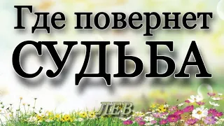 📌 ЛЕВ,♌️, Где повернет СУДЬБА❓, Неделя, 17-23 июля, таро, гороскоп, гадание 🥠 онлайн